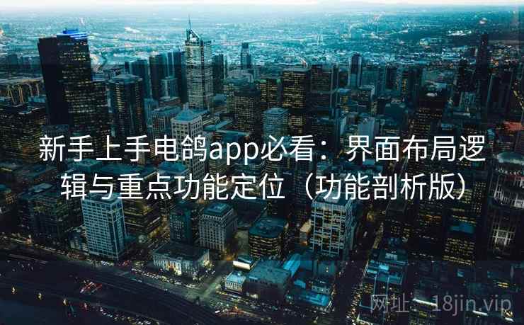 新手上手电鸽app必看：界面布局逻辑与重点功能定位（功能剖析版）