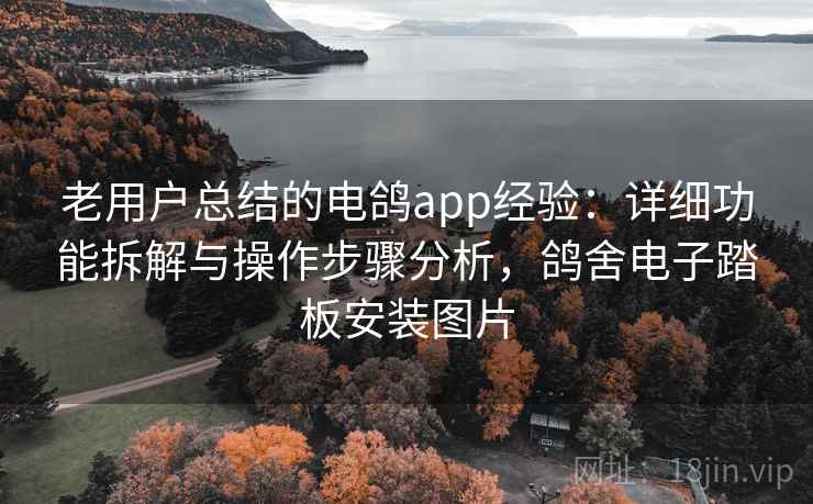 老用户总结的电鸽app经验:详细功能拆解与操作步骤分析,鸽舍电子踏板安装图片 老用户总结的电鸽app经验:详细功能拆解与操作步骤分析,鸽舍电子踏板安装图片