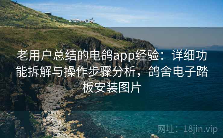 老用户总结的电鸽app经验：详细功能拆解与操作步骤分析，鸽舍电子踏板安装图片