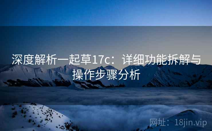 深度解析一起草17c：详细功能拆解与操作步骤分析