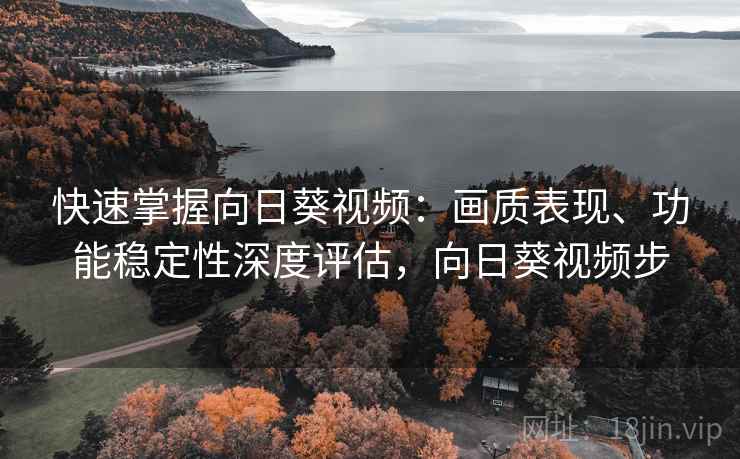 快速掌握向日葵视频：画质表现、功能稳定性深度评估，向日葵视频步