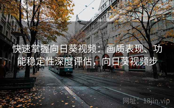 快速掌握向日葵视频：画质表现、功能稳定性深度评估，向日葵视频步