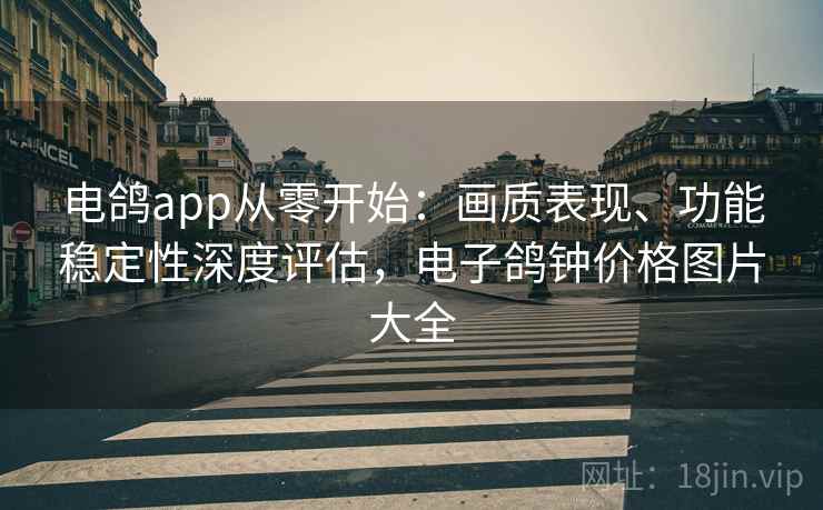 电鸽app从零开始：画质表现、功能稳定性深度评估，电子鸽钟价格图片大全