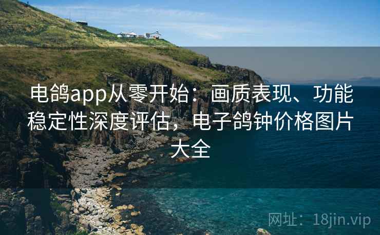 电鸽app从零开始：画质表现、功能稳定性深度评估，电子鸽钟价格图片大全