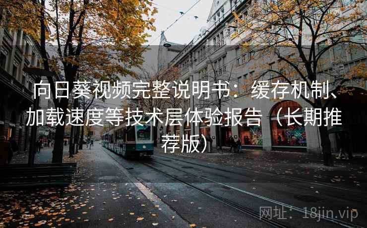 向日葵视频完整说明书：缓存机制、加载速度等技术层体验报告（长期推荐版）