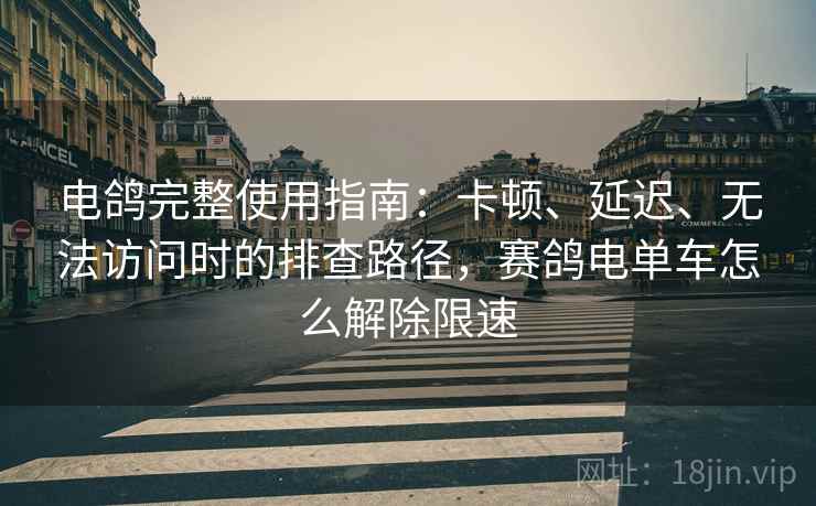 电鸽完整使用指南：卡顿、延迟、无法访问时的排查路径，赛鸽电单车怎么解除限速
